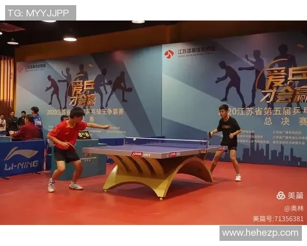 张强专访揭秘乒乓球成功秘诀与训练背后的故事